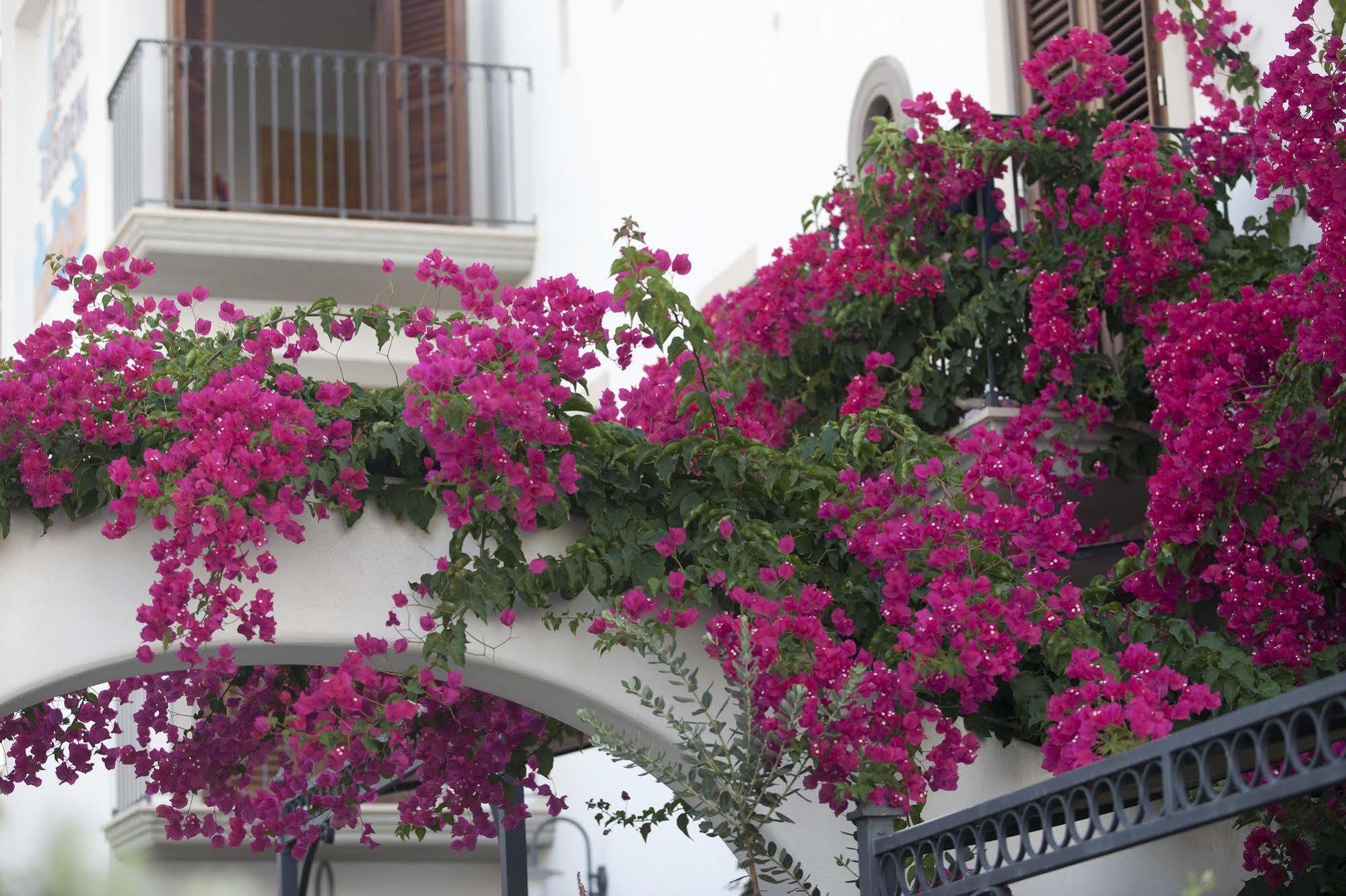Hotel Residence Acquacalda Λίπαρι Εξωτερικό φωτογραφία